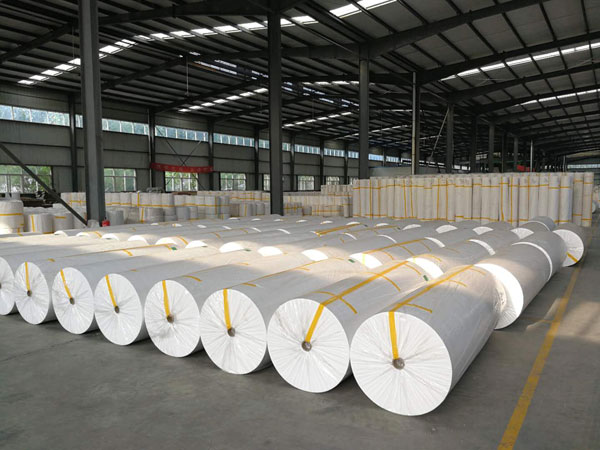 宽城狭缝式涤纶纺粘无纺布